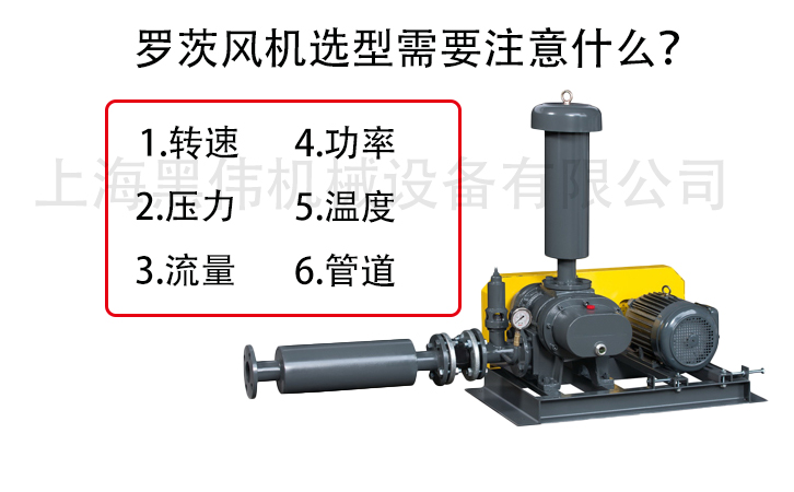 罗茨麻豆AV免费看选型注意参数