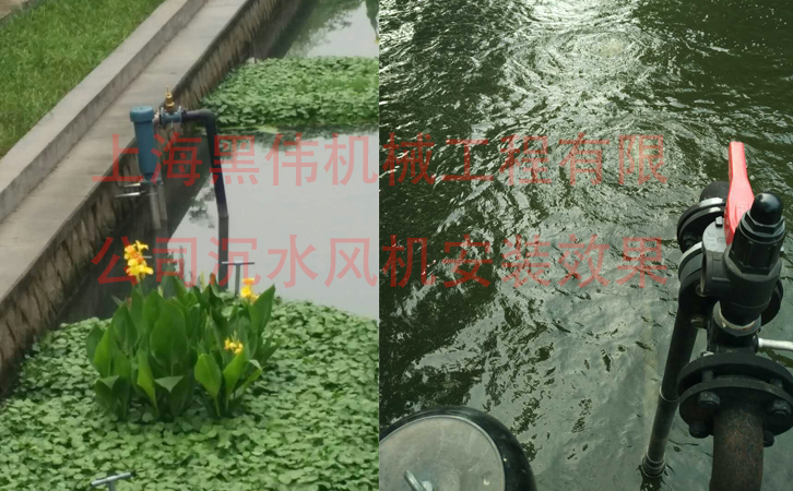 沉水麻豆AV免费看效果