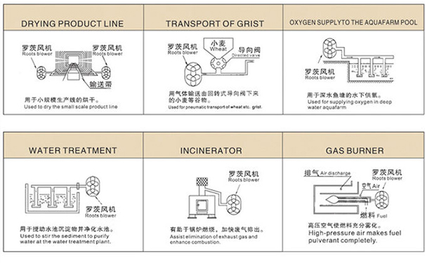 罗茨麻豆AV免费看用途