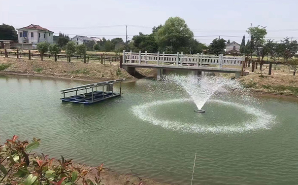 沉水式罗茨麻豆AV免费看：助力提升河湖水质的新利器